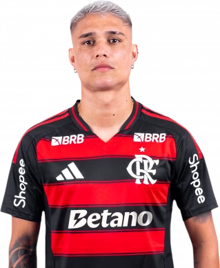 路易斯·阿劳霍